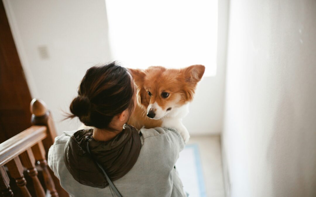 First Steps for Separating with Your Partner in QLD